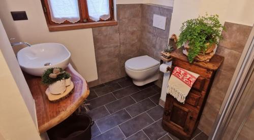 a bathroom with a sink and a toilet at La Baita D’Nonou in SantʼAnna di Valdieri