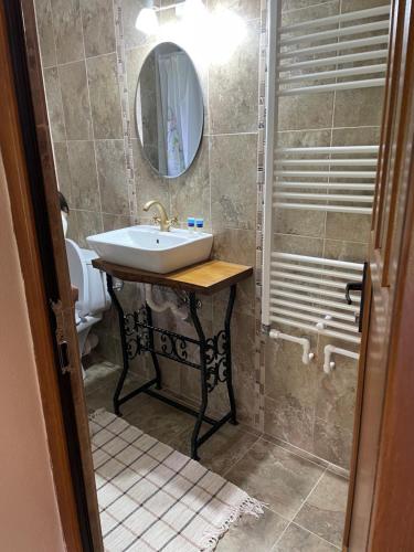 uma casa de banho com um lavatório e um espelho em Pensiunea Felyviss em Albac