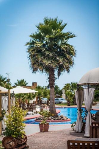 a palm tree sitting next to a swimming pool at Hotel Serena Suite in La Serena