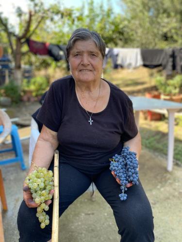 a woman sitting on a chair holding clusters of grapes at Anna Studios in Marathias