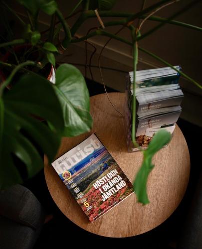 a table with a stack of books and a plant at STF Stockholm Skeppsholmen Vandrarhem in Stockholm