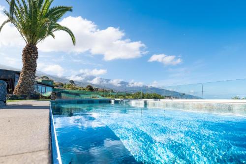 una palmera junto a una piscina de agua azul en Estancia Luciana en La Orotava