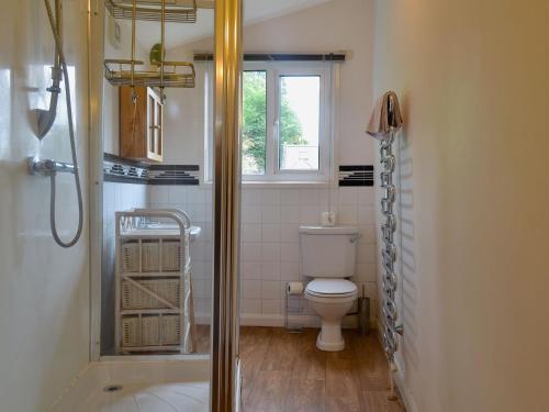 a bathroom with a toilet and a window and a shower at Eastwood Lodge in Bath