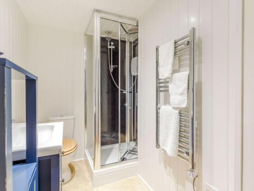 a bathroom with a shower and a sink at The Garden Flat Ardullie in Ardullie