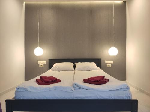 Katil atau katil-katil dalam bilik di Freedom apartments park Pohulyanka