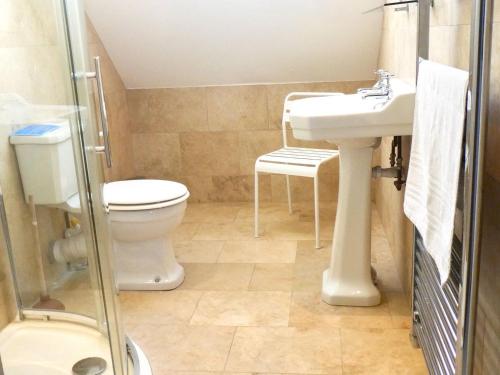 a bathroom with a toilet and a sink and a shower at The Owl House in Bishops Waltham