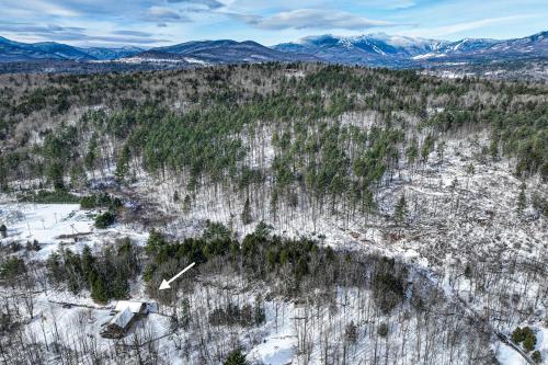 an aerial view of a forest with snow and mountains at Ski Bike the East in Stowe