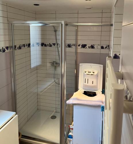 La salle de bains est pourvue d'une douche à l'italienne. dans l'établissement Appartement centre du village brides les bains, à Brides-les-Bains