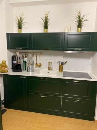 a kitchen with green cabinets and a sink at B&B Smeralda in Villa San Giovanni