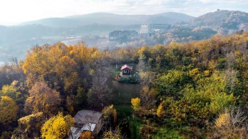a small house in the middle of a forest at Holiday home Nanin konak 2 in Vrdnik