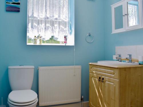 a bathroom with a toilet and a sink and a window at Green Valley Retreat in Holsworthy