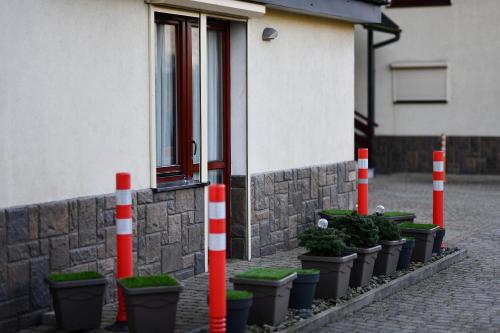 a row of potted plants in front of a building at Apartament Granit in Zakopane