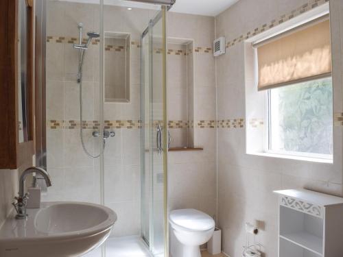 a bathroom with a shower and a toilet and a sink at Conway Cottage in Pembroke