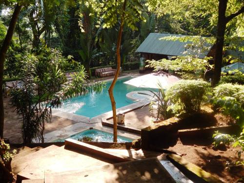 une piscine avec un arbre au milieu d'un jardin dans l'établissement Kara O Mula Mulanje, à Mulanje