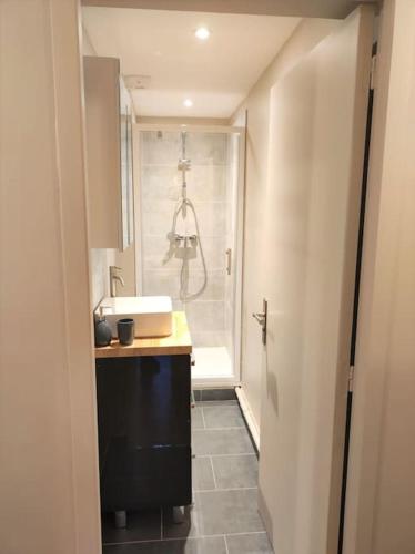 une salle de bain avec une douche et un lavabo et un lavabo dans l'établissement Cosy Mûre 4CH - Stationnement gratuit, à Pau