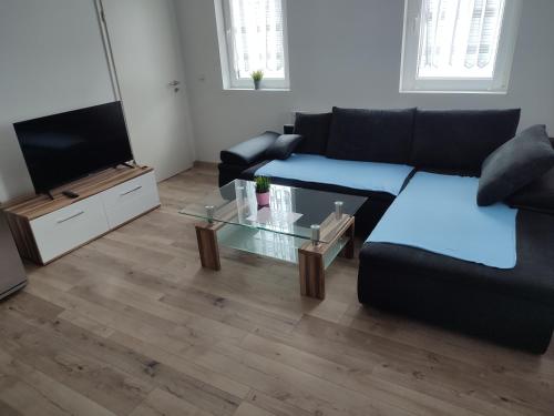 ein Wohnzimmer mit einem Sofa und einem TV in der Unterkunft Ferienwohnung Südpfalz in Weingarten