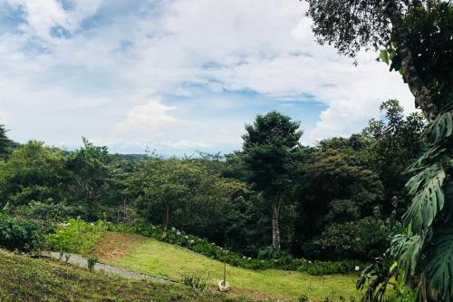 a grassy hill with trees in the background at Flower’s Paradise Monteverde in Monteverde Costa Rica