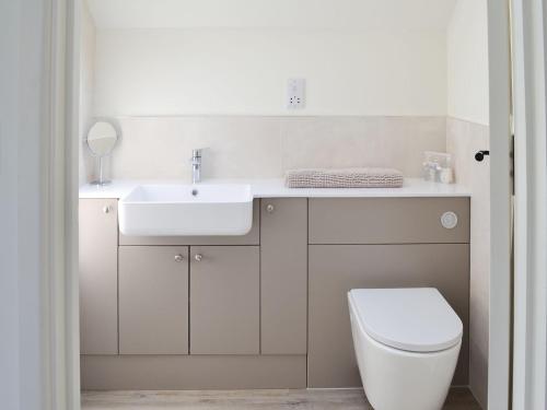 a white bathroom with a sink and a toilet at The Piglet in Sidbury