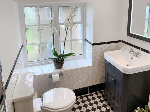 a bathroom with a toilet and a sink and a window at Castle Hill House in Sidbury