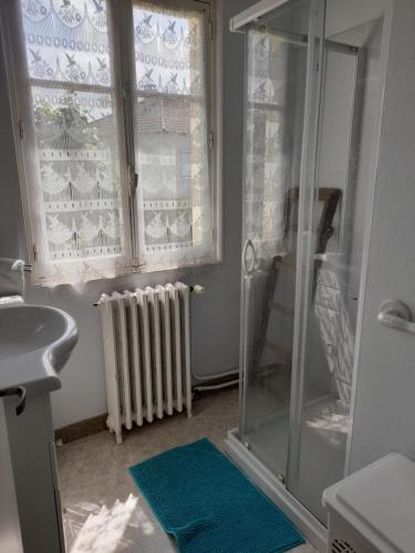 a bathroom with a shower and a sink and a window at La maison de Denise et Henri in Le Vigean