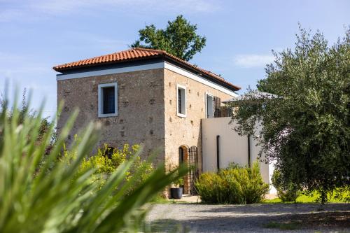 un vieux bâtiment en briques avec un arbre devant lui dans l'établissement Gallo Fino, à Ricadi