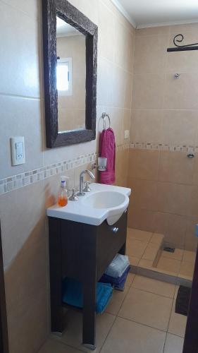 a bathroom with a sink and a mirror and a shower at Alquileres Pedro in Olavarría
