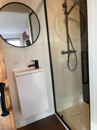 a bathroom with a shower and a sink and a mirror at Containerwoning op schitterende locatie in Milsbeek
