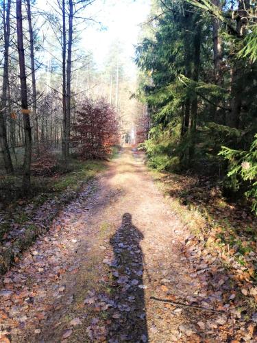a shadow of a person on a dirt road at Lawendowa Malanówka - domek nad jeziorem in Radęcin