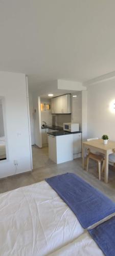Estudio Minerva 429, Costa del Sol