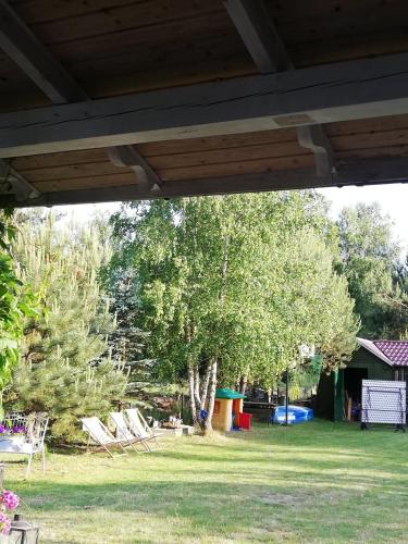 a view of a yard with chairs and a tree at Lawendowa Malanówka - domek nad jeziorem in Radęcin