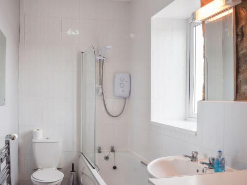 a bathroom with a shower and a toilet and a sink at Seadrift in New Quay