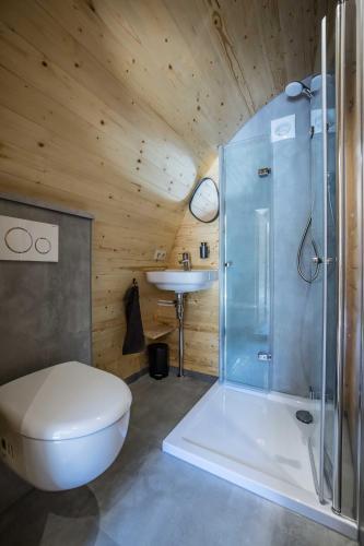a bathroom with a shower and a toilet and a sink at Luxe woodlodge in een prachtige en bosrijke omgeving in Bornerbroek