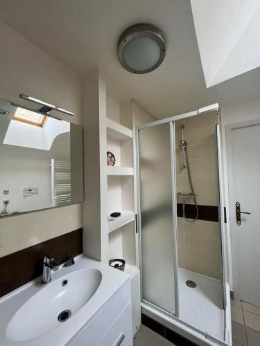 une salle de bain blanche avec une douche et un lavabo dans l'établissement Grand gîte la Maison d'Amélie, à La Chapelle-Saint-Aubert