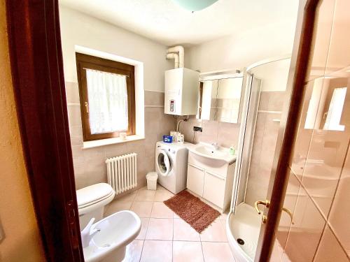 a bathroom with a toilet and a sink and a washing machine at Villa di Charme in Gignod