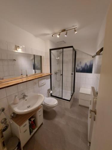 a bathroom with a shower and a sink and a toilet at Ruhiges & zentrales Loft in Lörrach in Lörrach