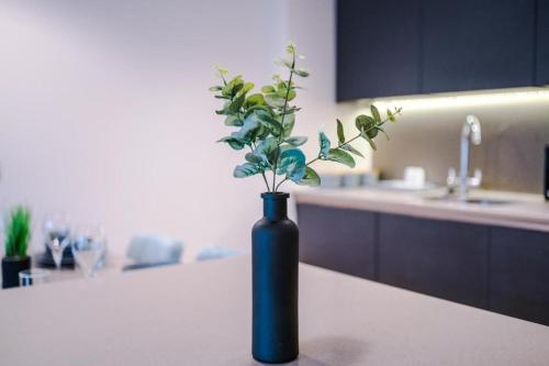 a blue vase with a plant in it on a kitchen counter at Exquisite Central York Abode sleeps 6! in York