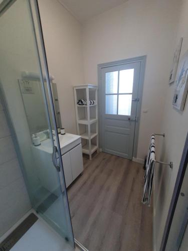 łazienka z prysznicem i szklanymi drzwiami w obiekcie Appartement au cœur du village d'Aufferville w mieście Aufferville