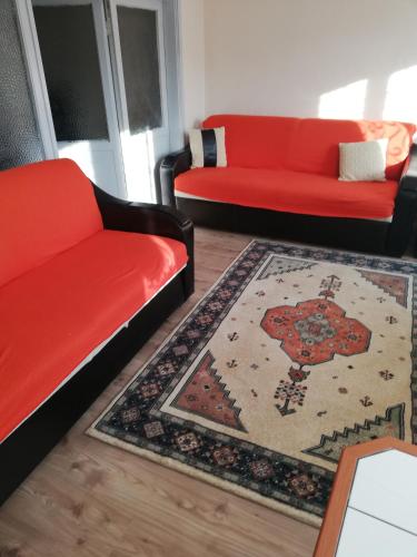 una sala de estar con 2 sofás y una alfombra en Ozkok apartman, en Mustafakemalpaşa