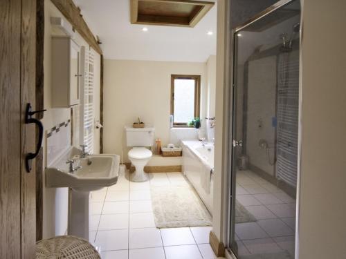 a bathroom with a sink and a toilet and a shower at Cwm Corn Barn - Hw7662 in Mochdre