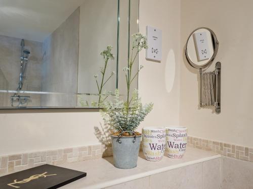 a bathroom counter with two plants and a mirror at Jubileum Lodge uk27999 in Watton