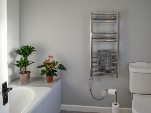 baño con lavabo, aseo y plantas en Rosemary Cottage en Stalham