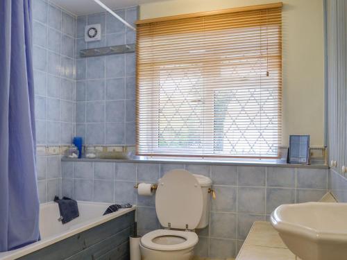 Lydbrook的住宿－Oak Tree Cottage - E5062，浴室配有卫生间、浴缸和水槽。