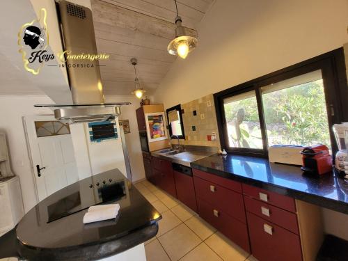 a kitchen with a sink and a counter top at Casa Salya 8 pers Piscine privée Chauffée San Cipriano in Lecci