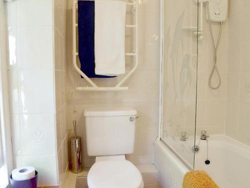 a bathroom with a white toilet and a shower at Drum And Monkey Cottage in Chapel en le Frith