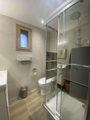 une salle de bain avec une douche en verre et des toilettes dans l'établissement Maison de campagne, à Paulinet