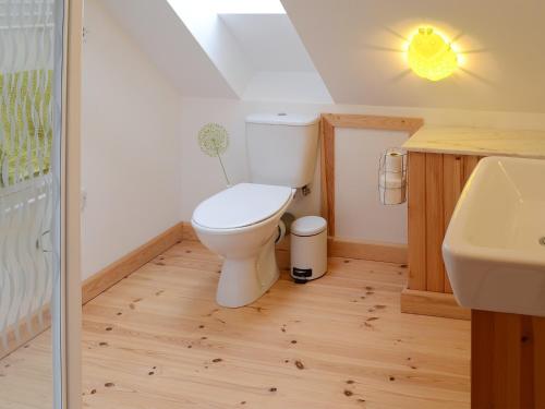 a bathroom with a toilet and a sink at Fionn Croft Lodge in Aultgrishin