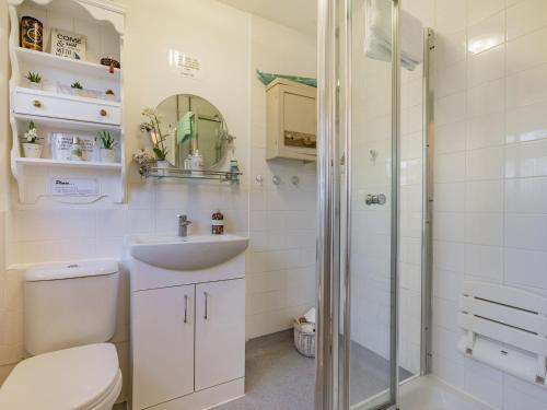 a bathroom with a toilet and a sink and a shower at Wrens Nest in Moreton in Marsh