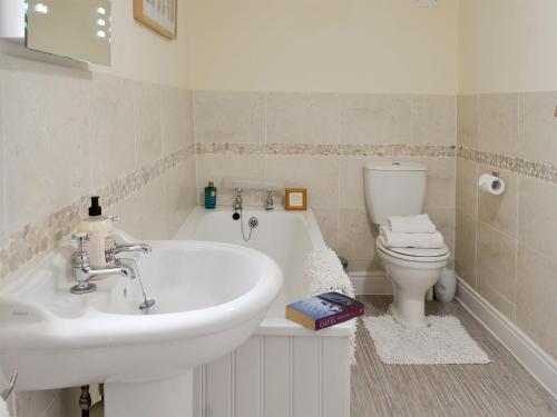 a bathroom with a sink and a toilet at Thimble Cottage in Hartland