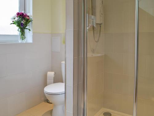 オーバンにあるHarbour Viewのバスルーム(トイレ、シャワー付)
