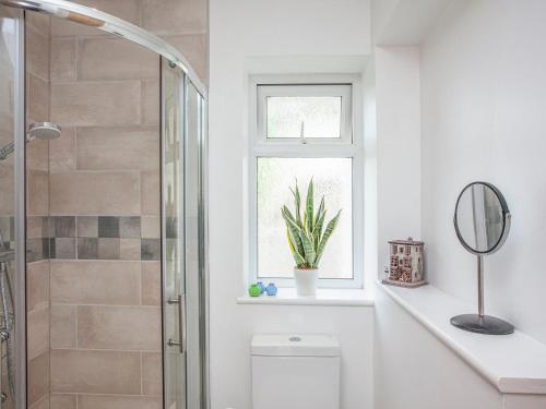 a bathroom with a shower and a toilet and a window at Driftwood Cottage in Galmpton-on-the-Dart